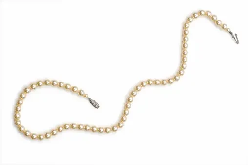 D. LIGHT WEIGHT NECKLACE